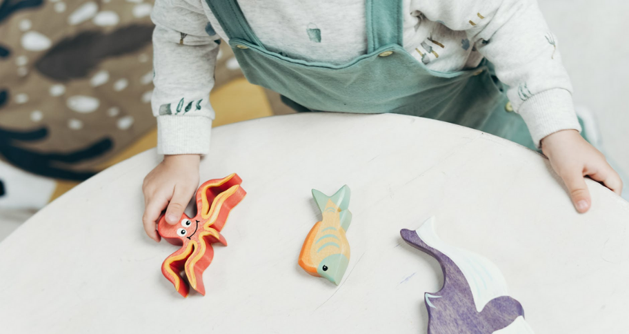 educational toys for Early childhood brain development