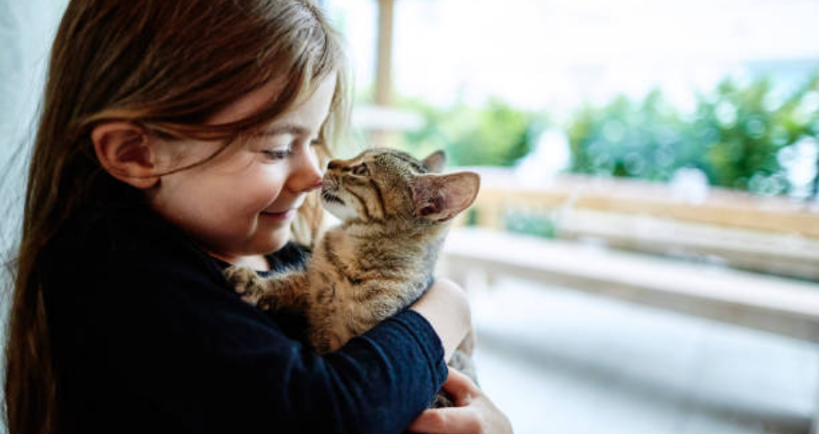 a girl plays with her pet cat