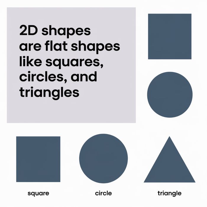 2D shapes 