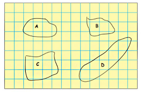 shape