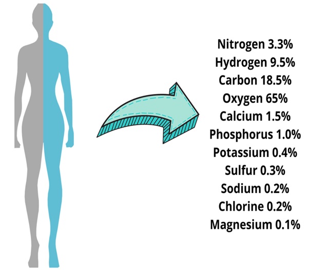 human body consists of six main elements