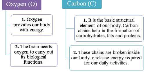 Functions of the Oxygen ,Carbohydrates Elements