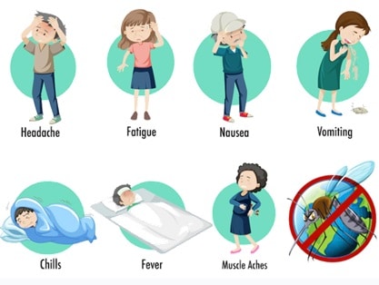 Symptoms of Malaria