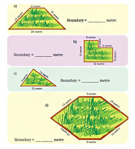 Field boundaries 