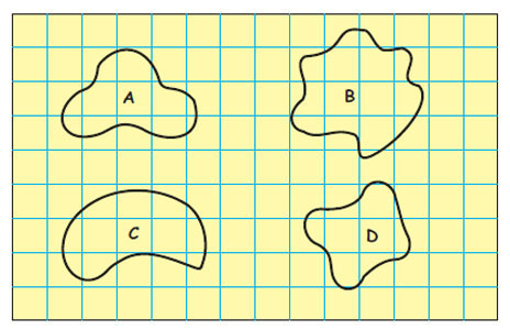 Different shapes 