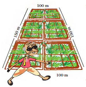 Field diametre