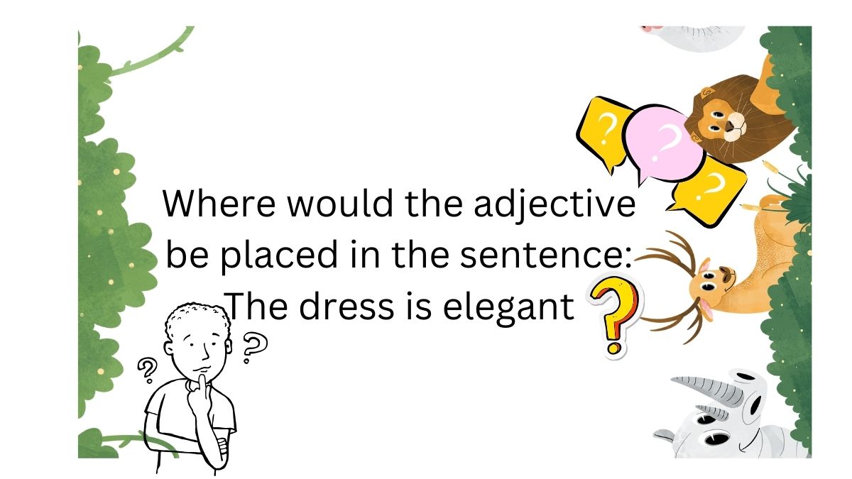 Where Do Adjectives Appear in Sentences?