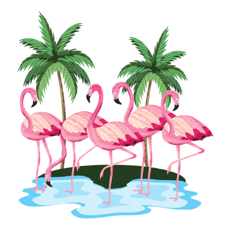 Image of flamingoes