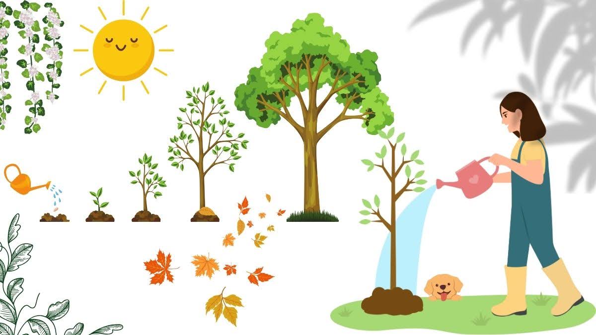 Growing Plants