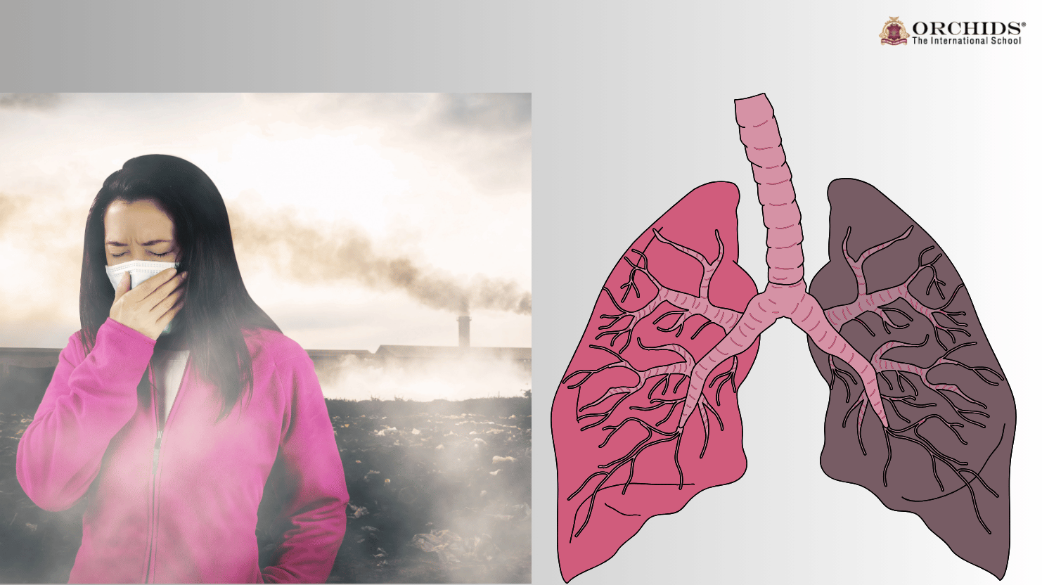 impact of air pollution on respiratory health