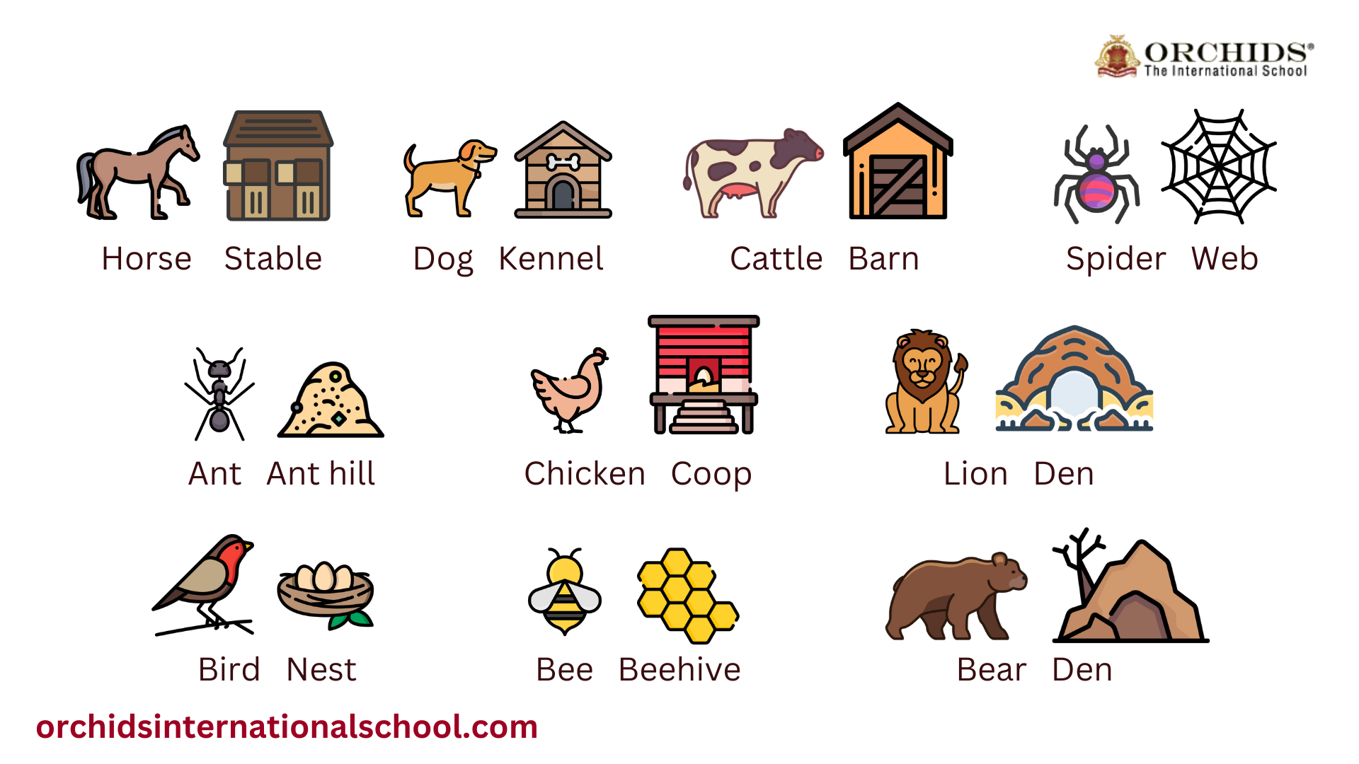 Illustration of animals and their homes: Horse in a stable, Dog in a kennel, Cattle in a barn, Spider with a web, Ant near an ant hill, Chicken in a coop, Lion in a den, Bird in a nest, Bee near a beehive, and Bear in a den.