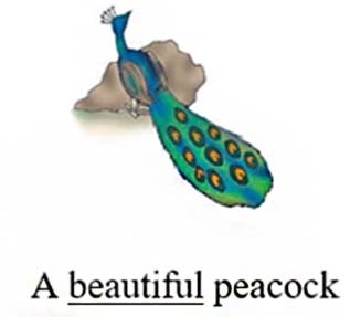 beautiful peacock