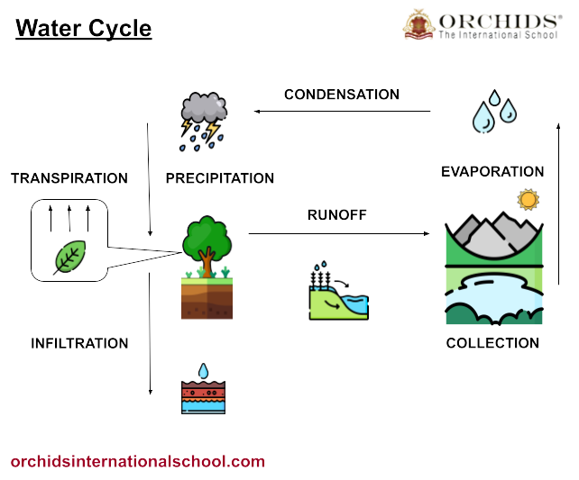 Image of water cycle