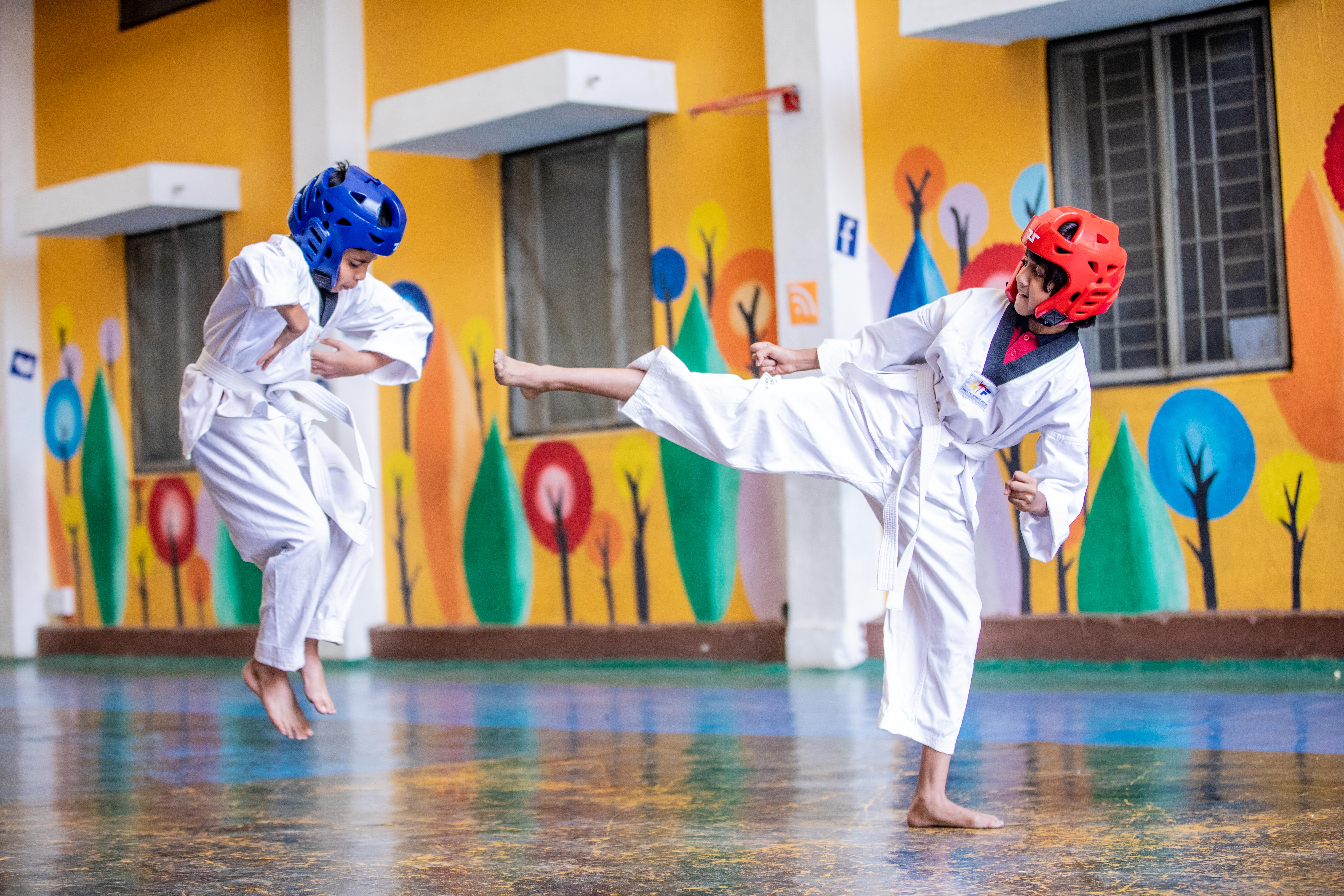 Taekwondo Activity