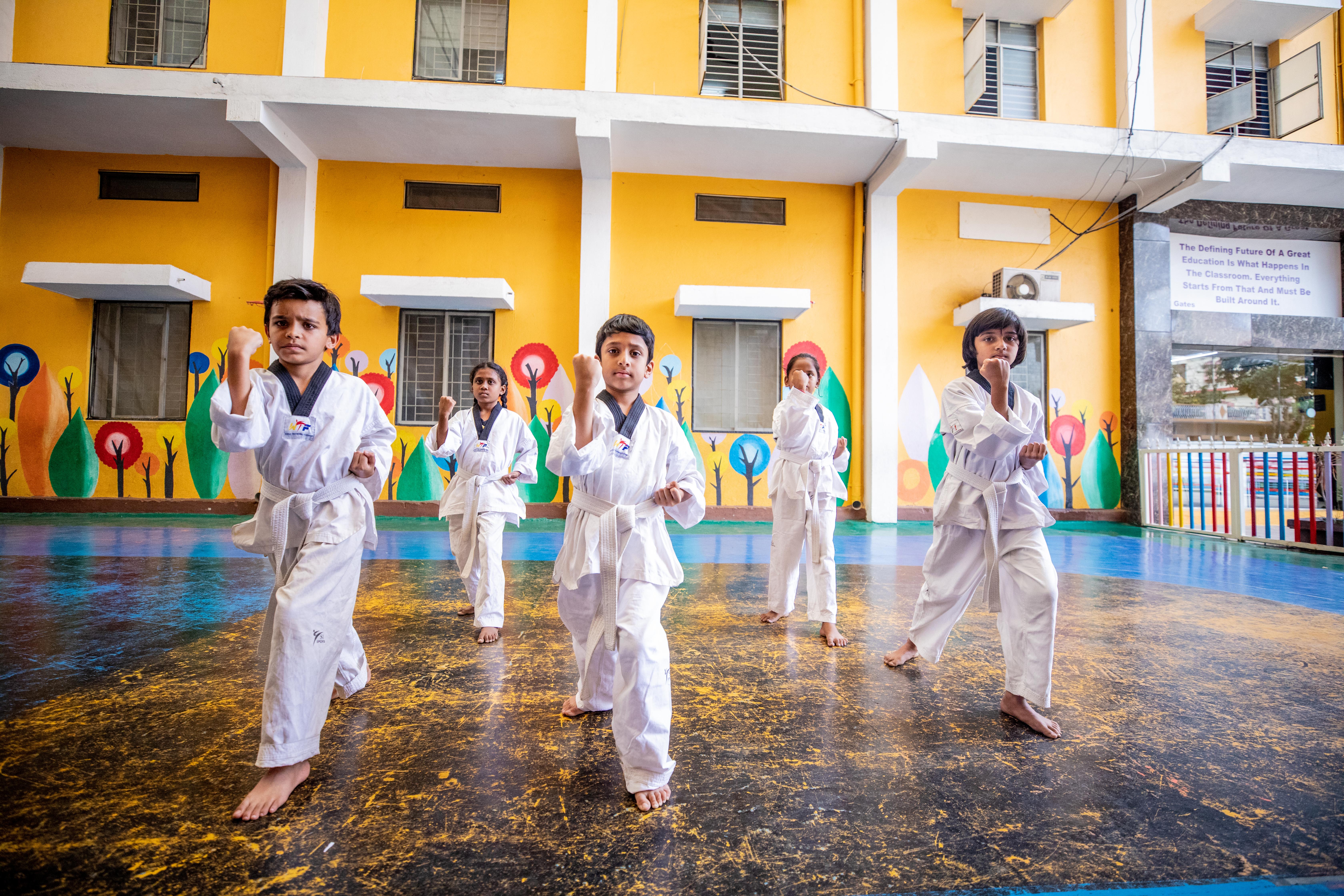 Taekwondo Activity