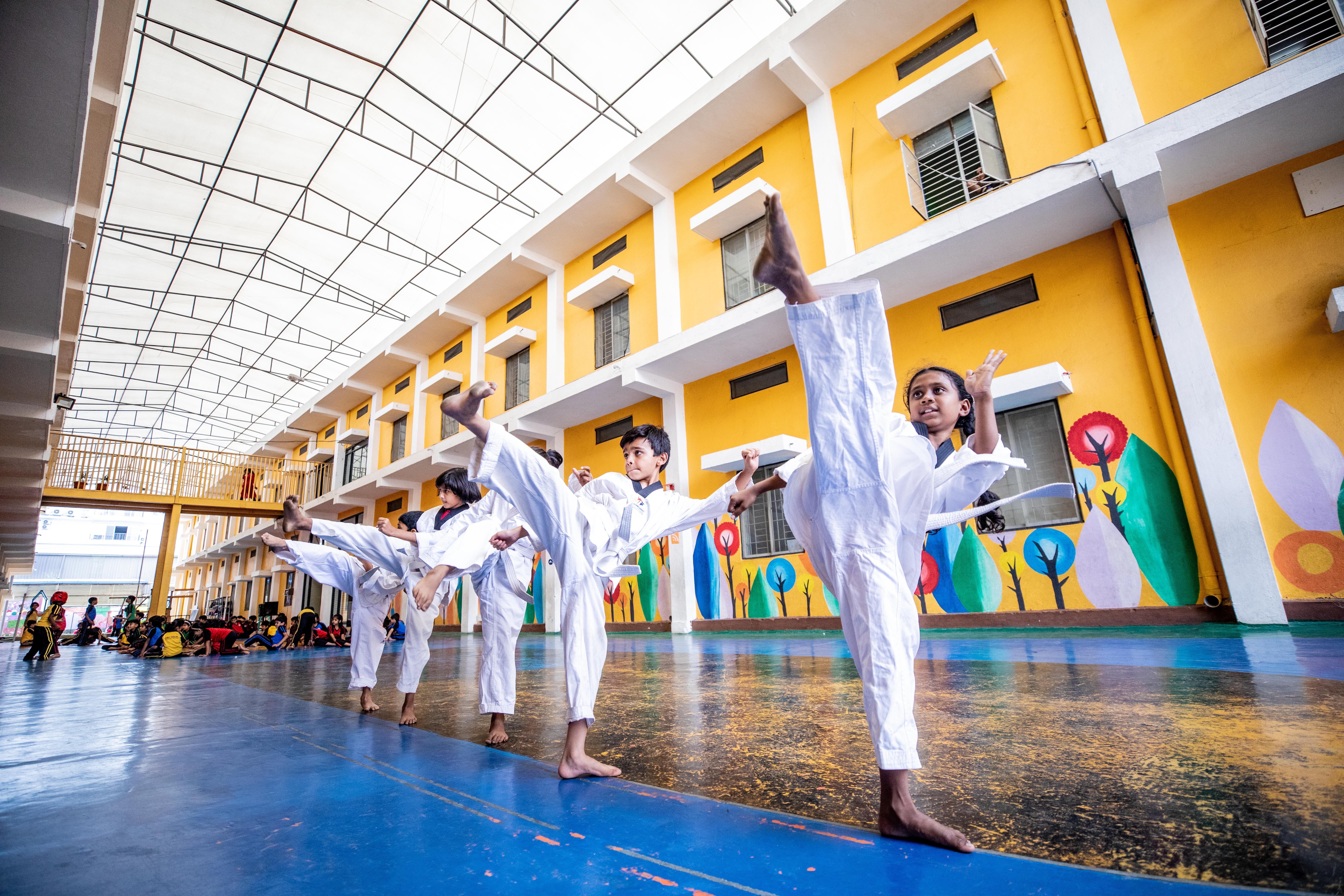 Taekwondo Activity