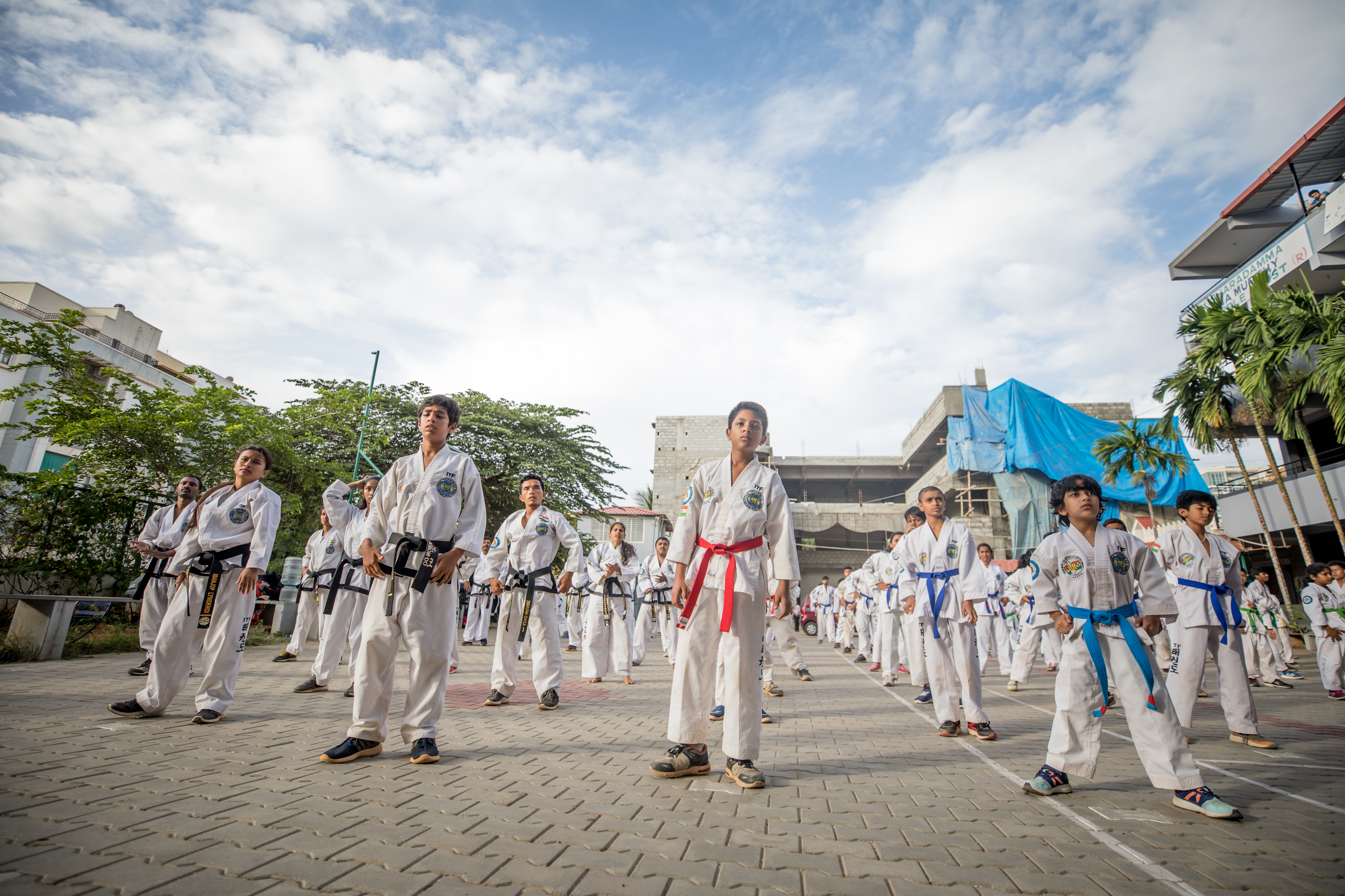 Taekwondo Activity