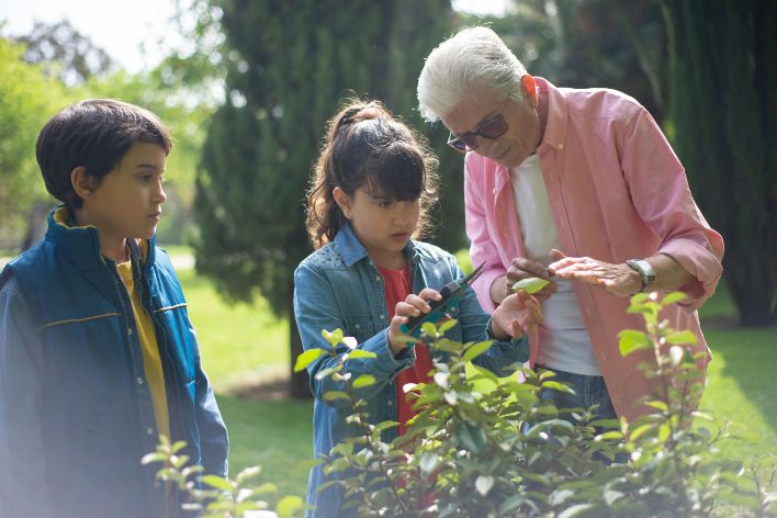 Advantages of Gardening