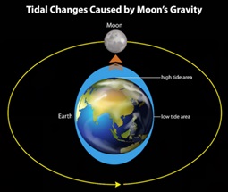 Tidal Changes Caused by Moon's Gravity