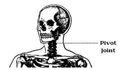 Pivot Joint