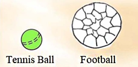 https://cdn-cms.orchidsinternationalschool.com/media/answer/Grade-2-Chapter-3-The-tennis-ball-is-lighter-than-the-football.jpg