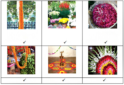 https://cdn-cms.orchidsinternationalschool.com/media/answer/ncert-evs-class-4-chapter-11-the-valley-of-flowers-let-us-know-some-more-8a.jpeg