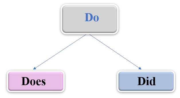 Auxiliary Verbs in English