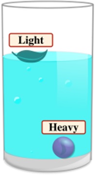 light & heavy weight