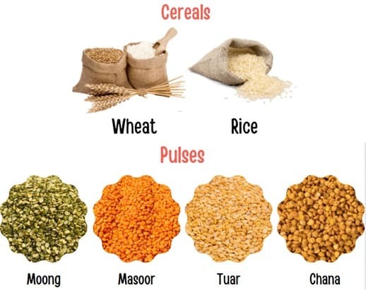 Cereals and Pulses