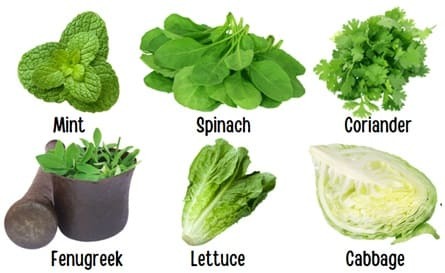 edible leaves