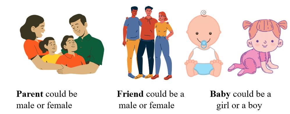 Gender nouns Gender nouns