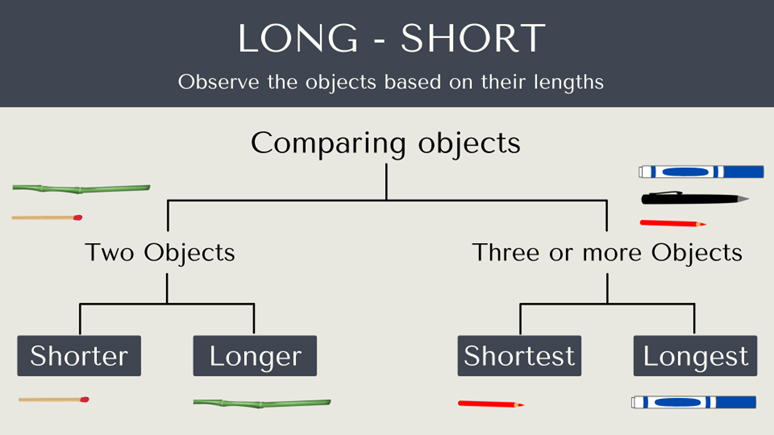 Long & Short Comparing Objects