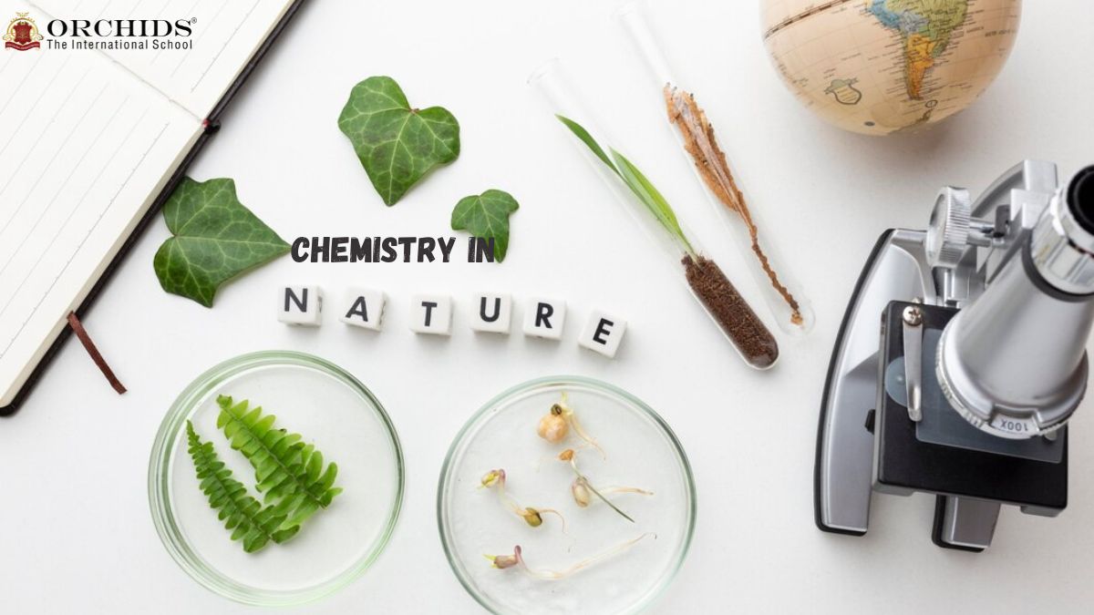 Chemistry in Nature Unveiling How Life Harnesses the Power of Chemistry