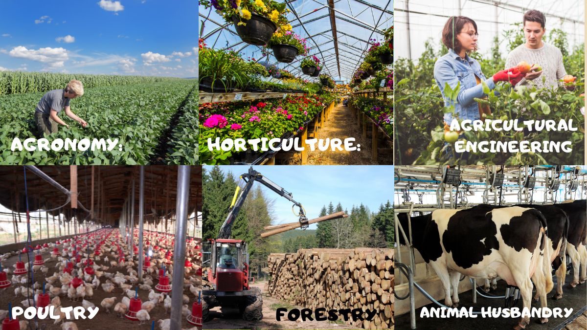 branches of agriculture