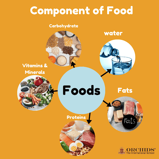 component of food