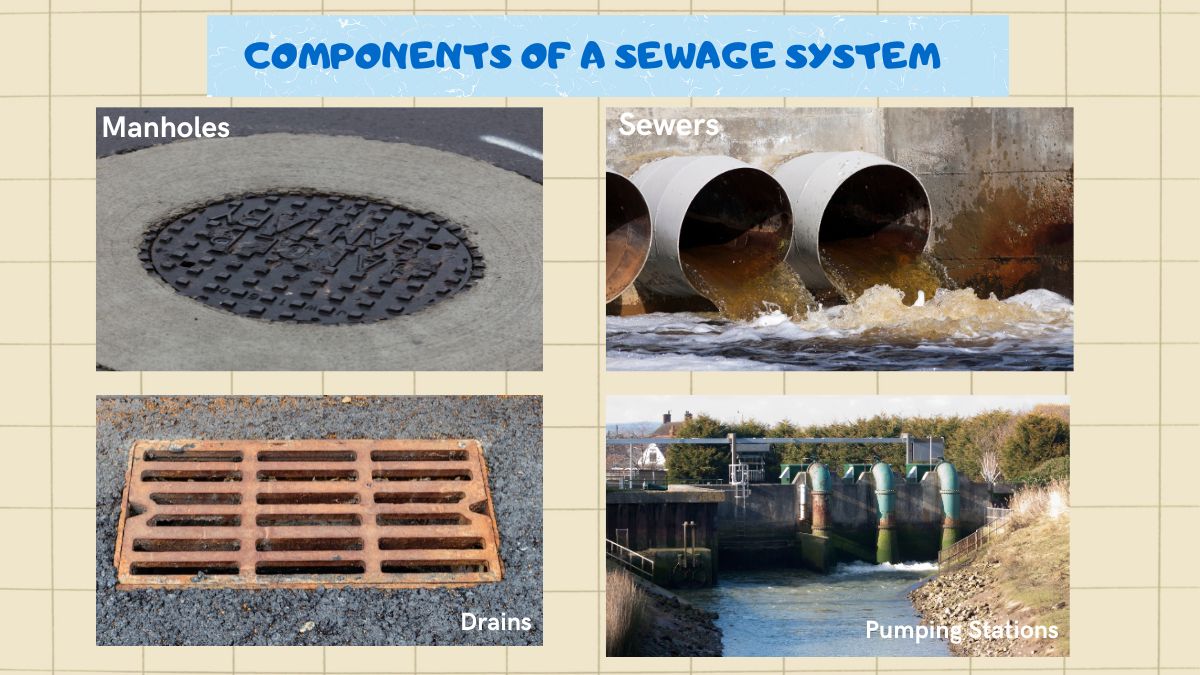 component of a sewage system