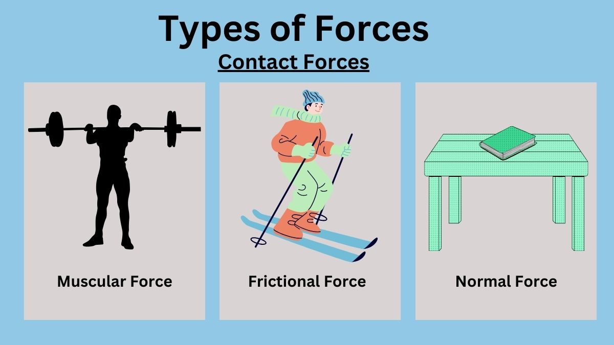 Contact Forces