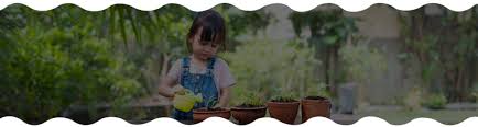 Challenges Faced By Preschoolers: 10 ...