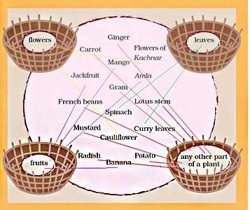 Choose the correct basket