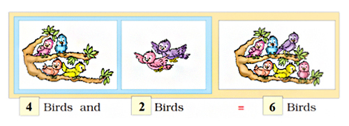 4 birds and 2 birds are equal to 6 birds