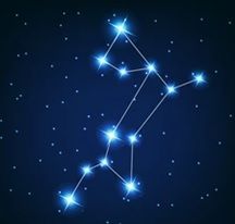 Canis Major Constellation  This constellation represents the figure of a dog in the night sky