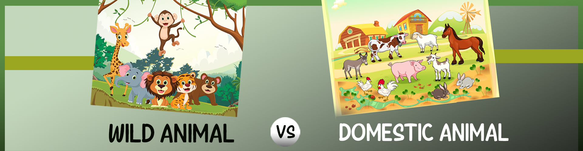 Difference Between Wild Animals and Domestic Animals