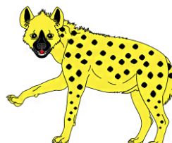 A hyena 