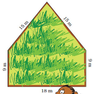 Measurements of a land
