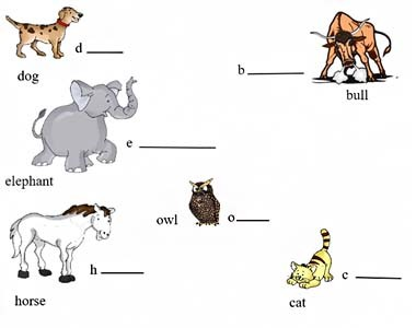 Look at the picture and fill in the blanks