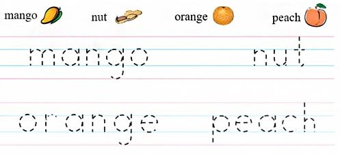 Mango nut orange peach