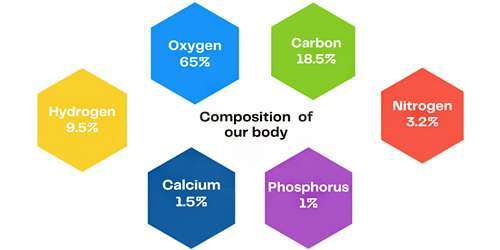 Composition of our body