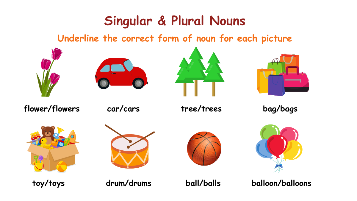 example of singular and plural