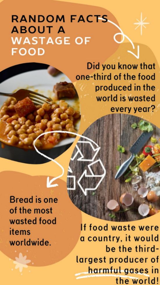 Fun Facts About Food Waste!