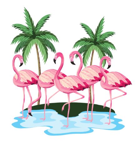 flamingoes